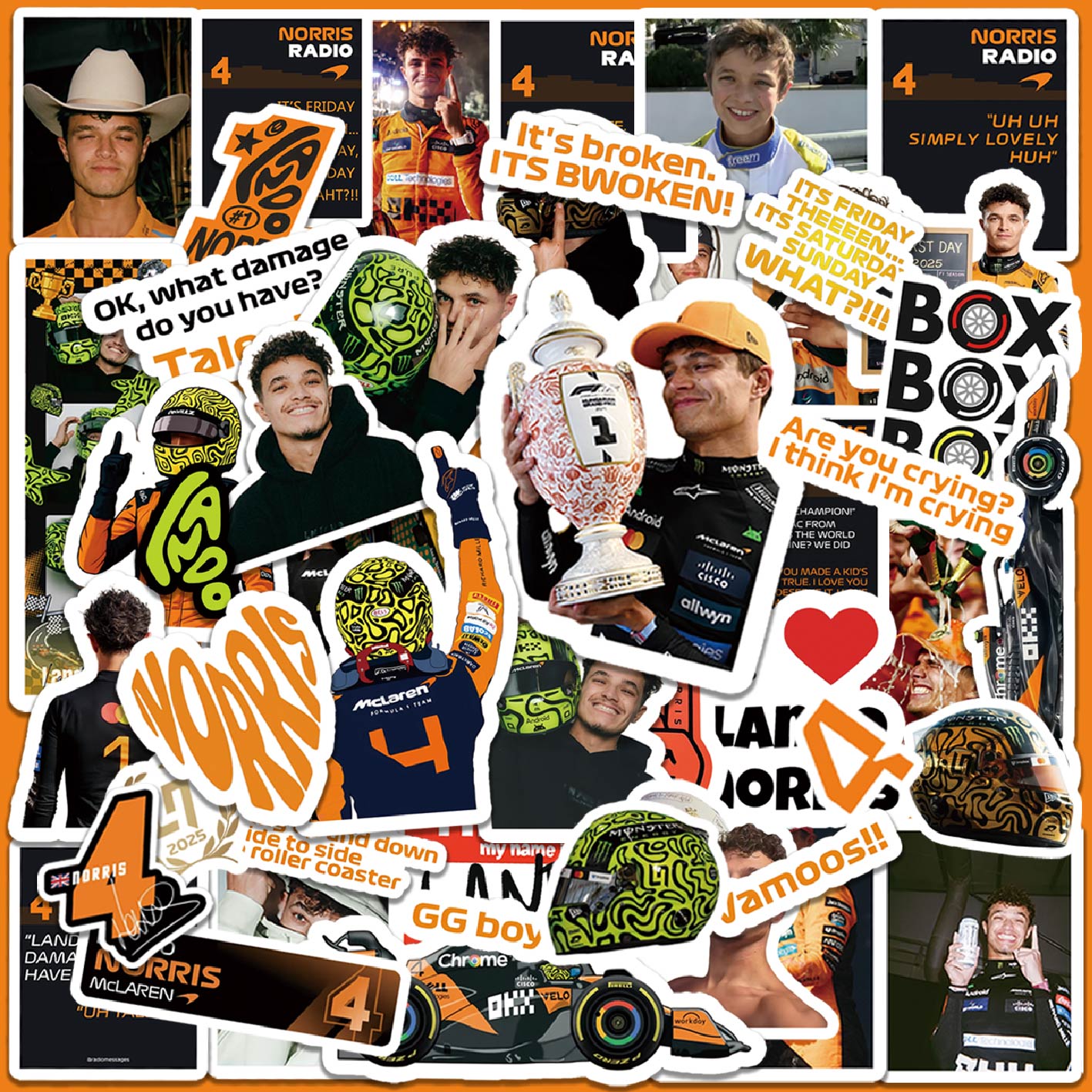 5-6 vellen F1-stickers, Norris - Event Supplies recensie en prijs