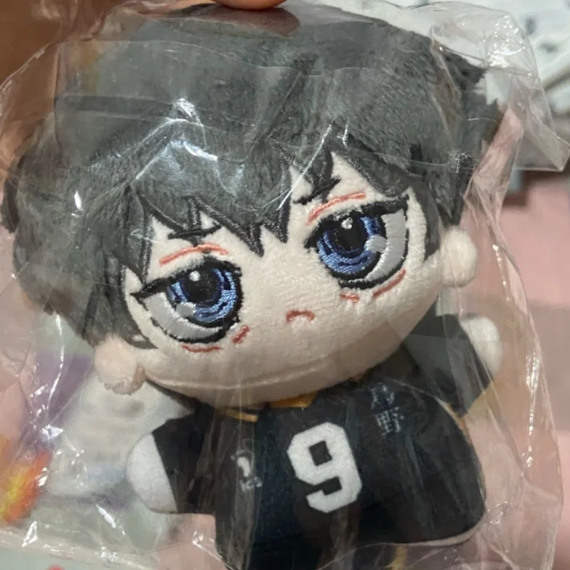 Cartoon Anime Haikyuu Shoyo Hi - Event Supplies recensie en prijs