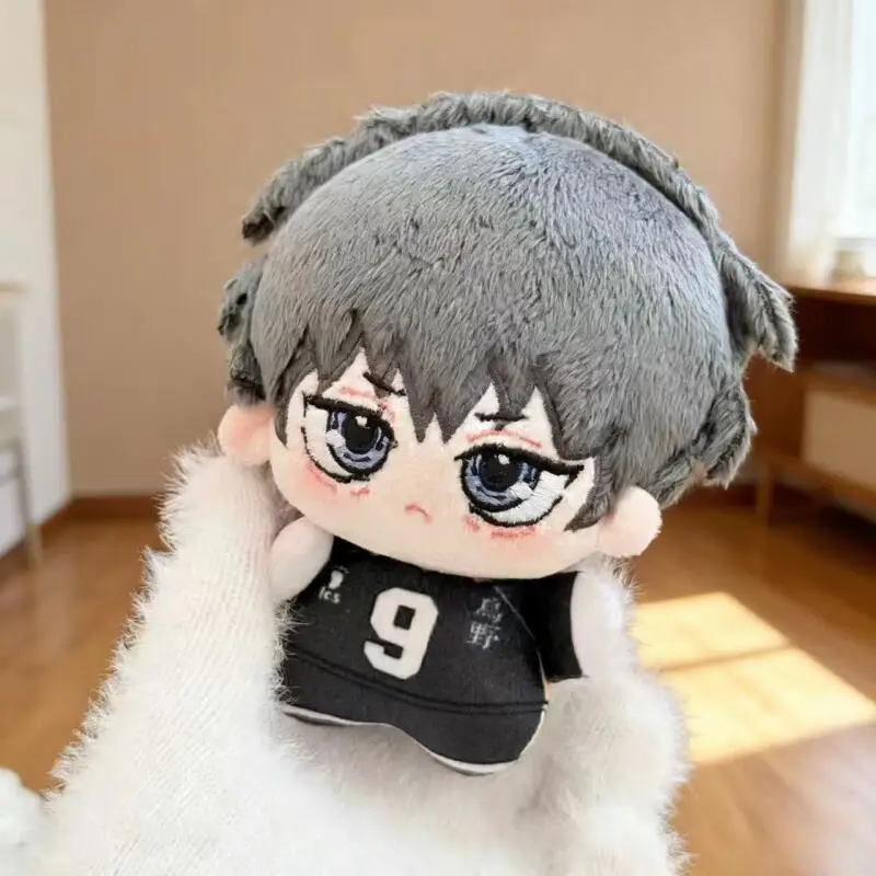 Cartoon Anime Haikyuu Shoyo Hi - Event Supplies recensie en prijs